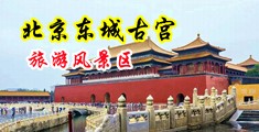 大骚逼操逼毛片中国北京-东城古宫旅游风景区